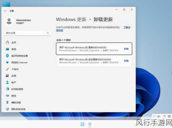 探索 Win11 专业工作站版的下载奥秘