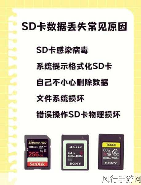 轻松找回误删的 SD 卡照片，方法全在这里！