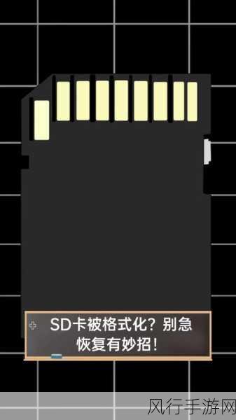 雷克沙 SD 卡提示格式化，数据恢复秘籍在此！