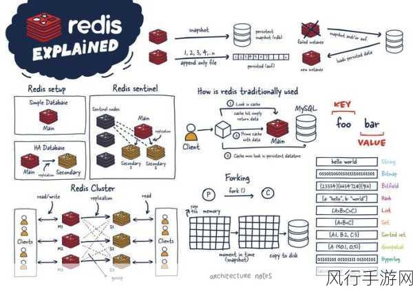 探索 Lettuce Redis 的高效管理之道