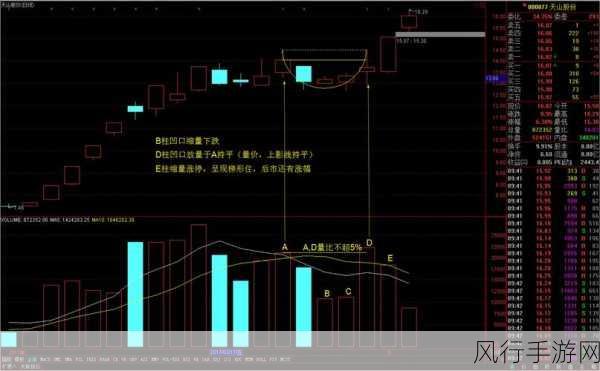 探索华宝智投 APP 选股的秘诀