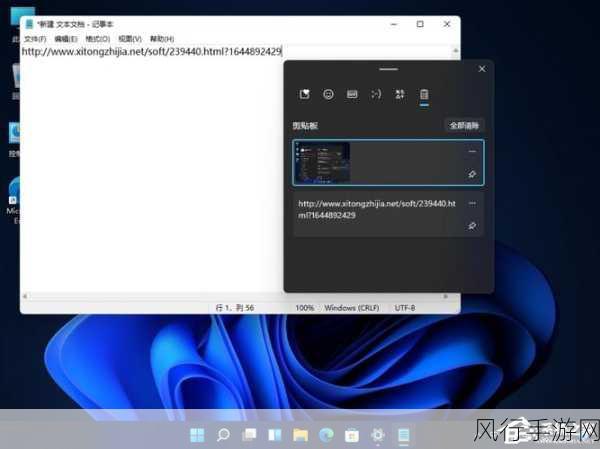 轻松掌握，Win11 剪贴板历史记录清除秘籍