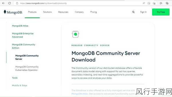 探索 MongoDB 数据库购买套餐的多样选择