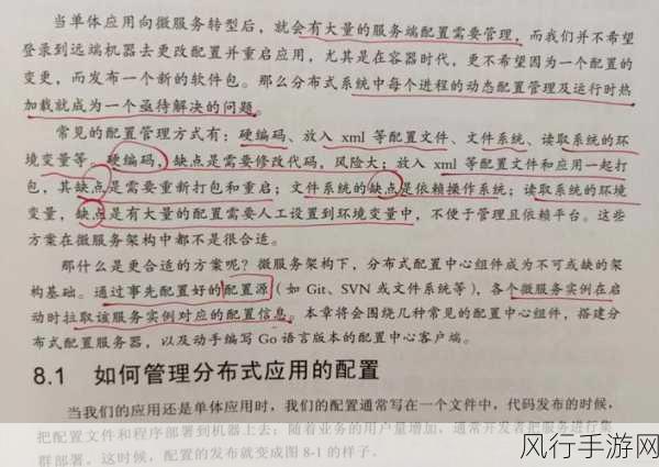 探索 Go 语言配置文件读取在微服务中的关键作用