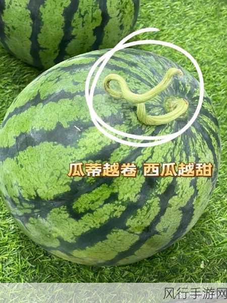 今日吃瓜每日更新-每日吃瓜新鲜看点更新中！🍉📅