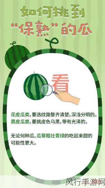 吃瓜 黑料 影音先锋-吃瓜时间！探秘黑料内幕揭秘 🍉👀