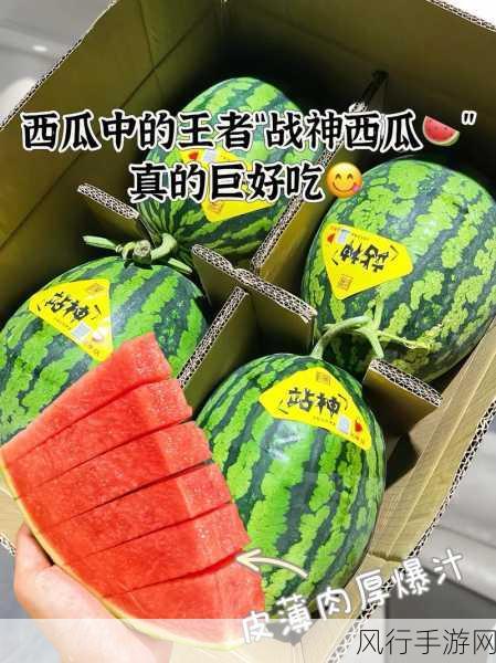 911今日必吃大瓜-911今日必吃大瓜：快来围观！🍉😄