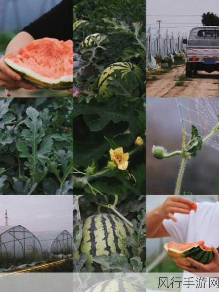 911红领巾爆料吃瓜-911红领巾爆料吃瓜新内幕揭秘🍉👀