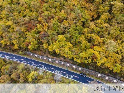 伊春园2024直达入口音响-2024伊春园直达入口音响新体验 🎶🌳