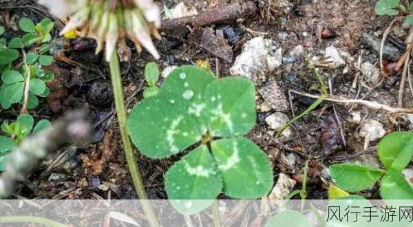 三叶草在线欧洲-三叶草在线欧洲：无限乐趣等你来体验！🌍🍀