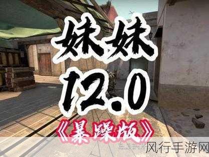 csgo暴躁妹妹最新版本更新内容-CSGO暴躁妹妹最新版本更新详解🔥🎮