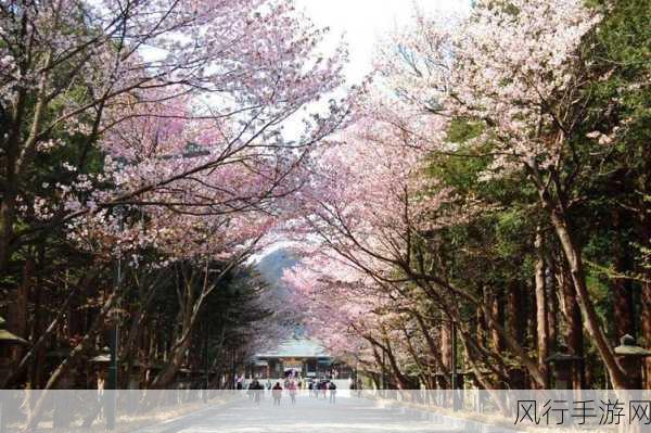 日精品一区二区-探索日系精品，尽享独特魅力✨🌸