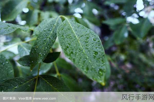 胡桃的尿道里流出白色的液体-胡桃尿道里流出白色液体的奇异现象✨💧