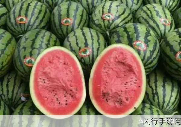 51吃瓜校园黑料-校园黑料大揭秘，吃瓜不停歇！😱🍉