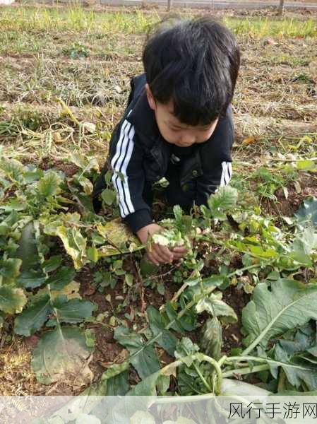 拔萝卜软件生孩-拔萝卜乐趣无限，生孩新体验！🌱👶