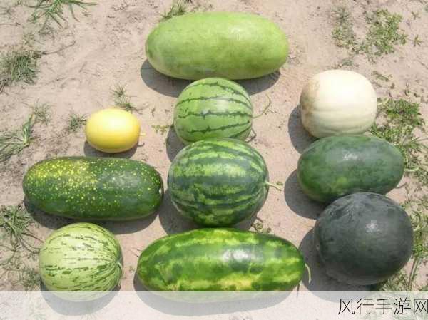 反差婊黑料吃瓜-反差婊黑料大揭秘，真相惊人！👀🍉