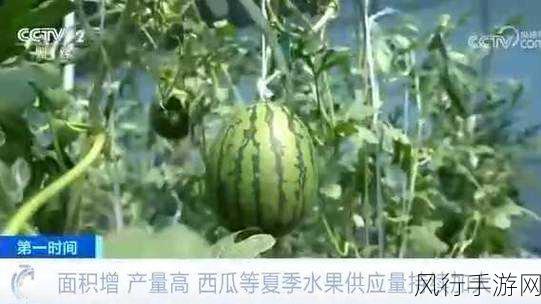 吃瓜网-吃瓜网：揭秘热辣八卦与趣闻！🍉📺