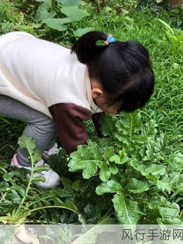 拔萝卜不盖被子动做大片-拔萝卜不盖被子，勇敢追梦生活大片！🌱🎬