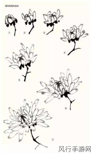 答错一道题菊花里放一支笔-创意十足的菊花与笔的奇妙结合🌼✍️