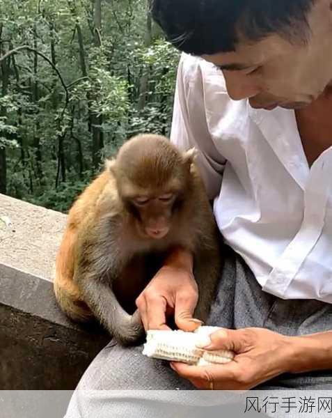 女人与男人生猴子的软件-男女共同打造幸福家庭的秘密🌟👶