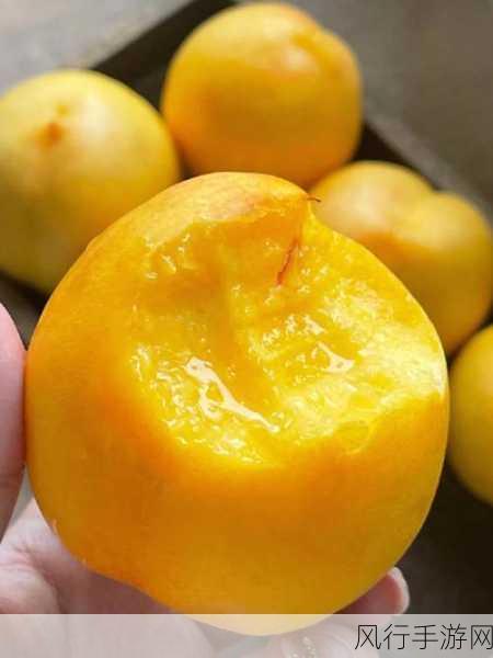 坤坤寒进桃子里嗟嗟图片-坤坤寒意融入桃子美景中🍑❄️
