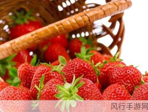 8008.草莓视频-草莓视频：畅享精彩娱乐时光🍓🎥