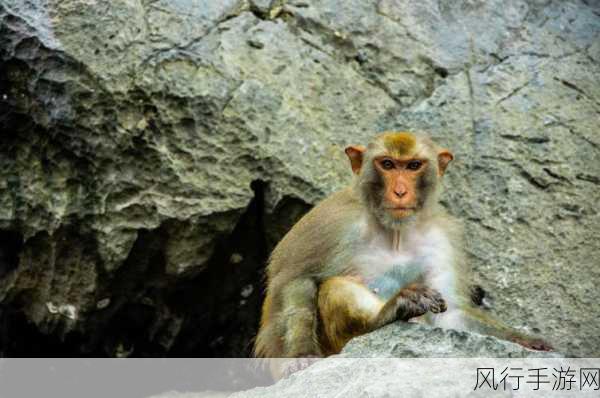 生肖口无遮拦-生肖之间的无所顾忌聊聊天 🐉🐒