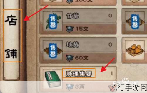 烟雨江湖苍狼狼行步加点秘籍,深度剖析与全方位攻略