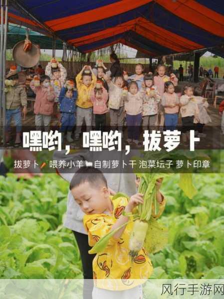 二人世界拔萝卜第一人称免费-一起拔萝卜，共享甜蜜时光🌱❤️