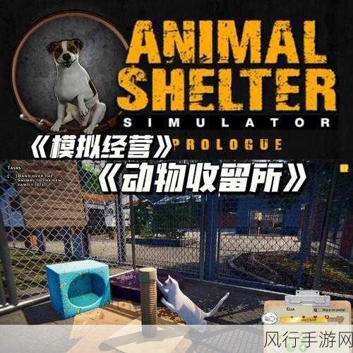 reanimal-重新定义动物的奇妙世界 🦁🌍