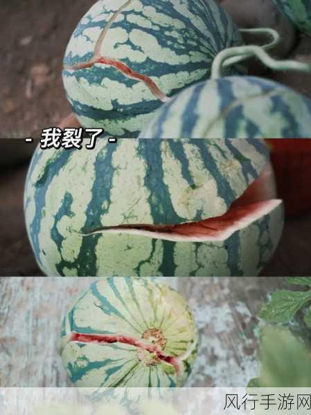 五一群众吃瓜往期回顾-五一群众吃瓜精彩回顾大盘点🍉🎉