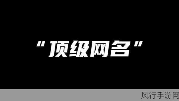 8x8x.io最新地域网名是啥-最新8x8x.io地域网名大揭秘🌍✨