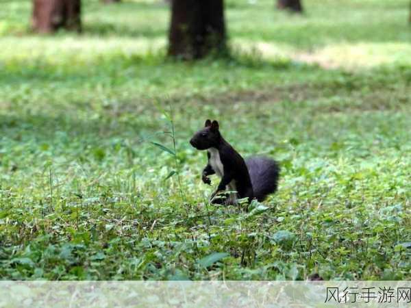 我的世界生物多样性揭秘,这个生物或成财经新宠?