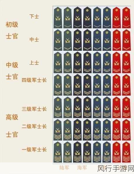 退伍军人为什么这几天召回-退伍军人召回原因揭秘，背后故事真相大白！💪🇺🇸