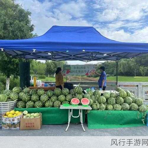 51吃瓜网找不到了-拓展51吃瓜网已无踪影,真遗憾!😢🍉