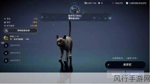 黑色沙漠手游新情报,伴侣动物与马系统深度揭秘