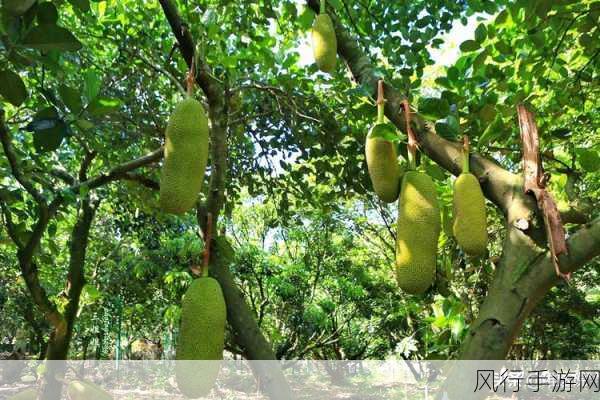 菠萝菠萝蜜免费高清视频-畅享菠萝菠萝蜜高清视频,尽情观看吧!🍍🎥
