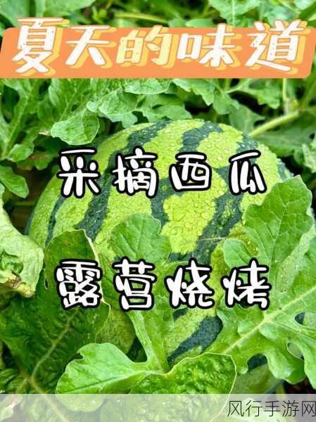 51吃瓜网莫里秀综艺-51吃瓜网：莫里秀综艺新风潮🍉🎉