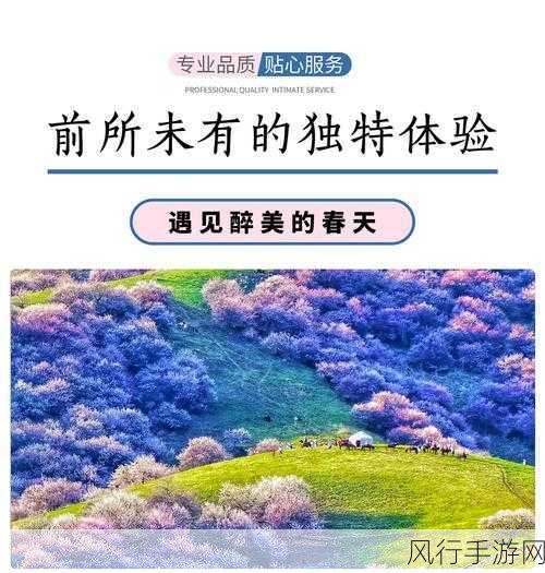 伊犁园2023网站入口-探索伊犁园2023最新网站入口✨🌸