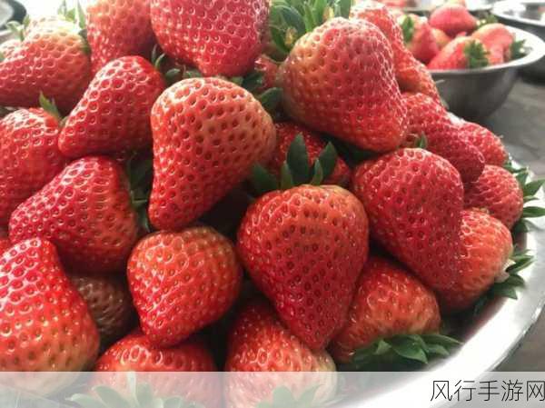 caomei.888-畅享美味草莓，甜蜜无极限🍓✨