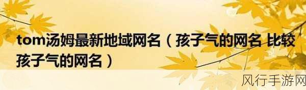 汤姆叔叔最新地域网名-汤姆叔叔的最新地域网名大揭秘！🌍✨