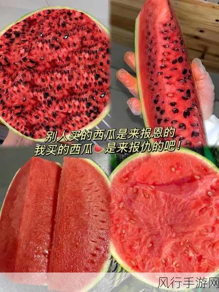 911吃瓜事件爆料-911吃瓜事件内幕大揭秘！🍉🔍