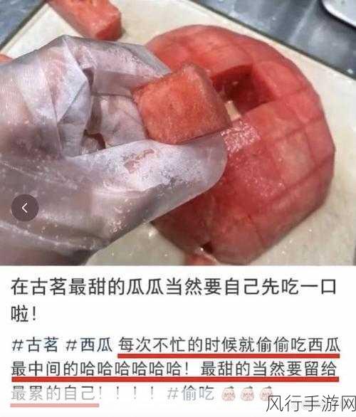 网曝吃瓜泄密-网曝吃瓜事件引发热议，真相大揭秘！🍉🔍