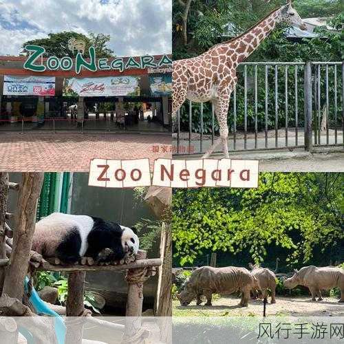 欧美人狗Zoo-欧美人狗Zoo的奇妙冒险之旅🐾🌍