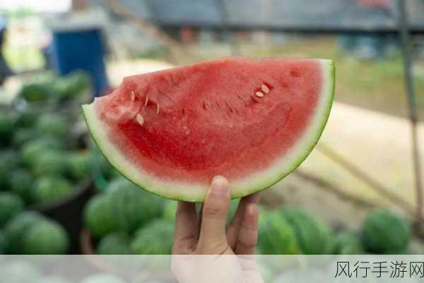 海外吃瓜网黑料-海外吃瓜网黑料大揭秘！🌍🍉