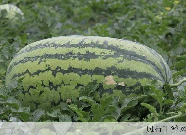 黑料社区吃瓜-黑料社区：吃瓜群众的欢乐时光 🍉👀