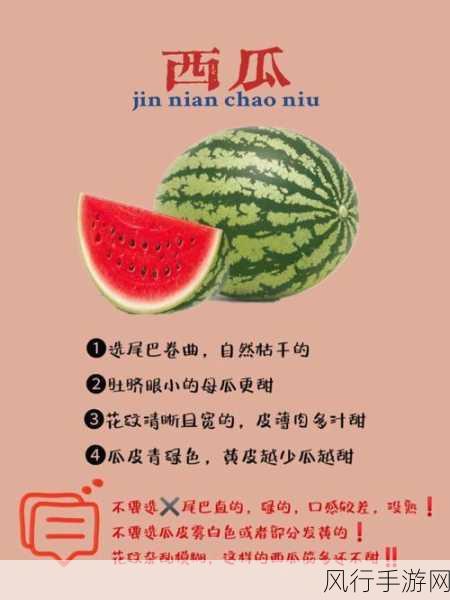 51cg每日吃瓜防走失-每日吃瓜，防走失小贴士🍉🛡️