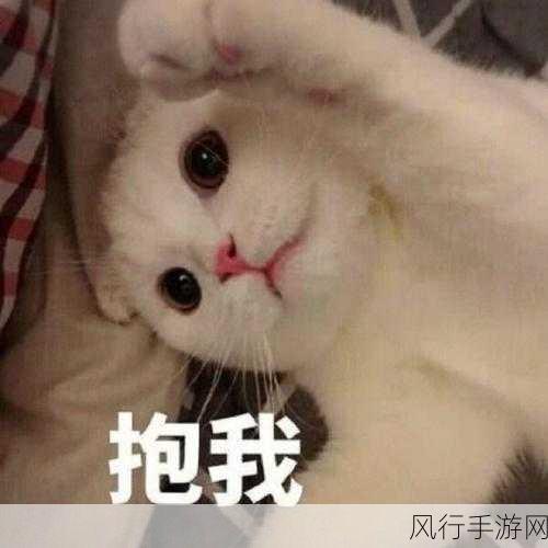 男女之间的唏唏哩哩表情包-男女之间的甜蜜互动瞬间表情包 😂❤️