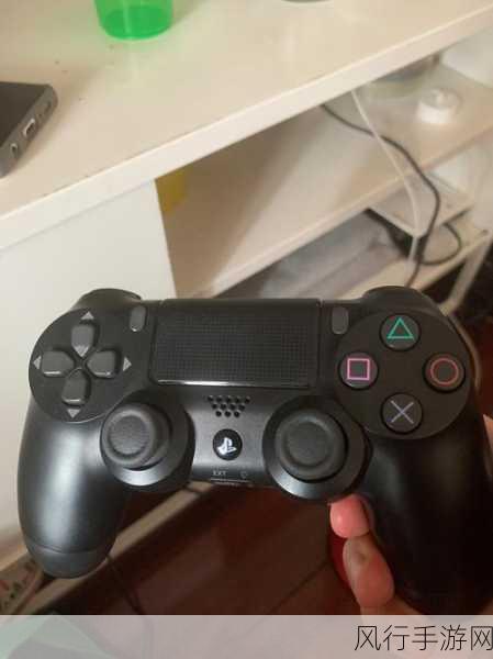 疯狂的一家ps4小说-疯狂一家人的PS4冒险之旅🎮😂