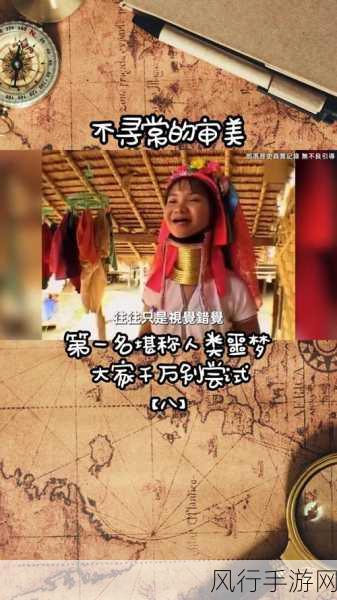 神秘视频的5个路线代码-1. 探秘未知领域的冒险之旅 🌌🔍